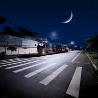 cachorrolokodusnovela