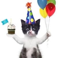 Olha p minha cara nao