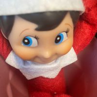 theelfontheshelfisback