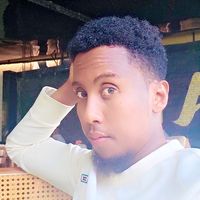 shiine_dhadeeste2020