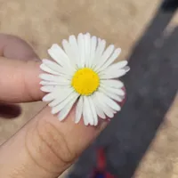 original sound - funfamillefun