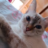 coco.luna05