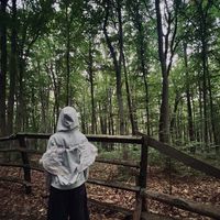 оригінальний звук