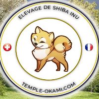 son original - Temple Okami France