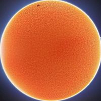 Zell . Crazy . Slowed