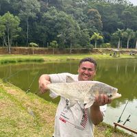 marceloferreira4131
