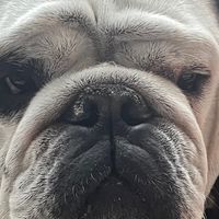 original sound - Winston🐐