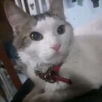 vivianaargaaaz_63193