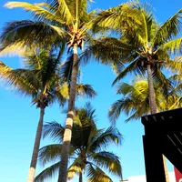 original sound - frasesfox26