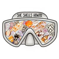 sheshellshawaii