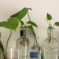 original sound - video_diary8