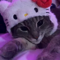 original sound - perez14_10_95