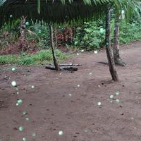 ludemilasilvadealmeida