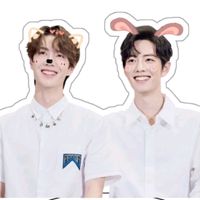 momay_wx2385