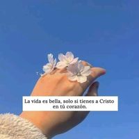 caty.chivalan41