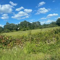 user1929502857371934959