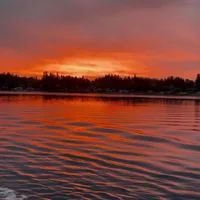 original sound - riffitup