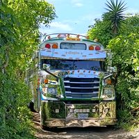 buses.y.accesoriosdg