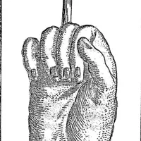 original sound - confi1782