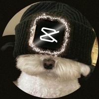 original sound - Tabudi