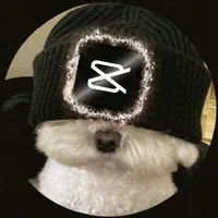 original sound - dans_capcuttemplate