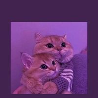 griz_ch7