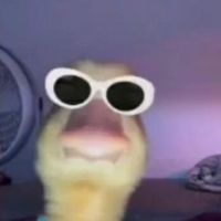 gogysfleur