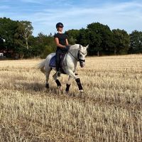 caroline.wendorf