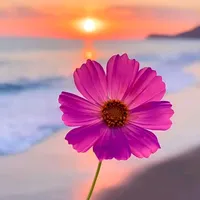 original sound - perfeeitas