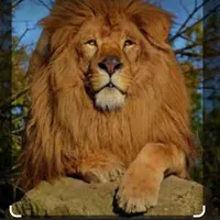 original sound - denkisse8