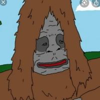 mogdogblog
