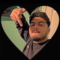 luisr_r1311