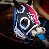 alejandro.snchez1260