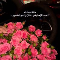 sh2005a1