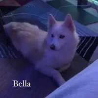 original sound - michhxtag