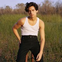 colesprouse.rvd
