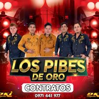 okiestigarribia