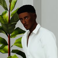 whavsims