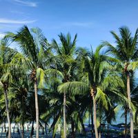 เสียงต้นฉบับ - Bon Antinous