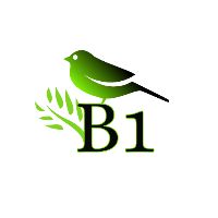 oryginalny dźwięk – B1withNature
