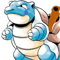 calvitie.de.tortank