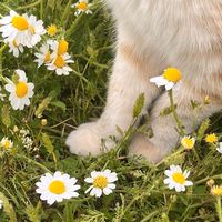 original sound - about all.