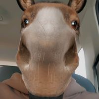 original sound - tho