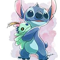 stitch.fanpage.24