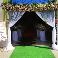 plantasmedicinales09