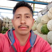 eu.sou.exito.2026garoto