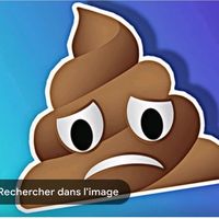 je_revien_an_2024_fait