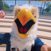 southwestasb