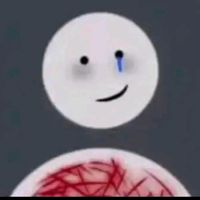 user_hlpp