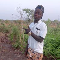 user81854775906061